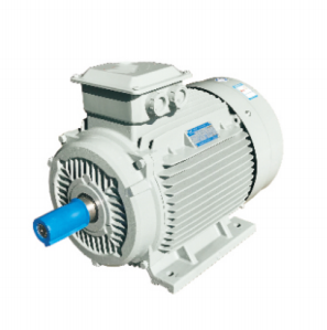 three-phase induction motor