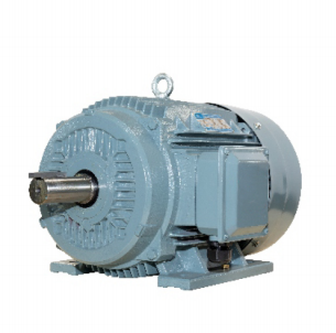 three-phase permanent magnet motor