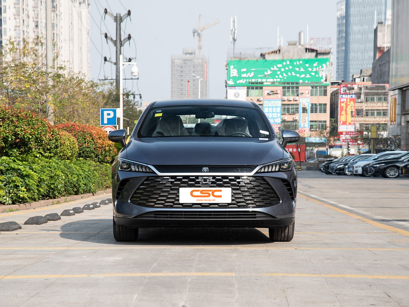 BYD Qin PLUS 2025 DM-i Intelligent Driving Edition