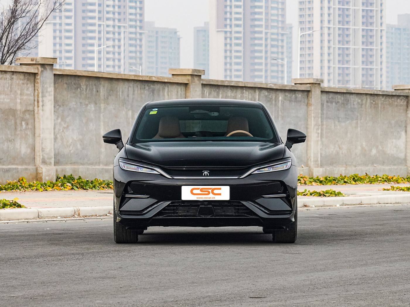 BYD Song L EV 2025 Smart Driving Edition