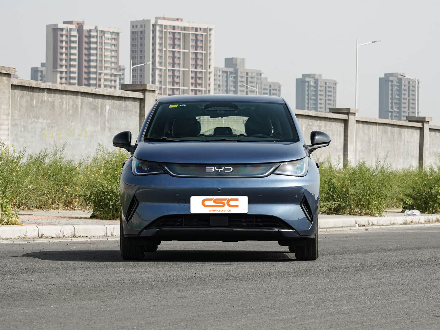 BYD Dolphin 2025 Smart Driving Edition