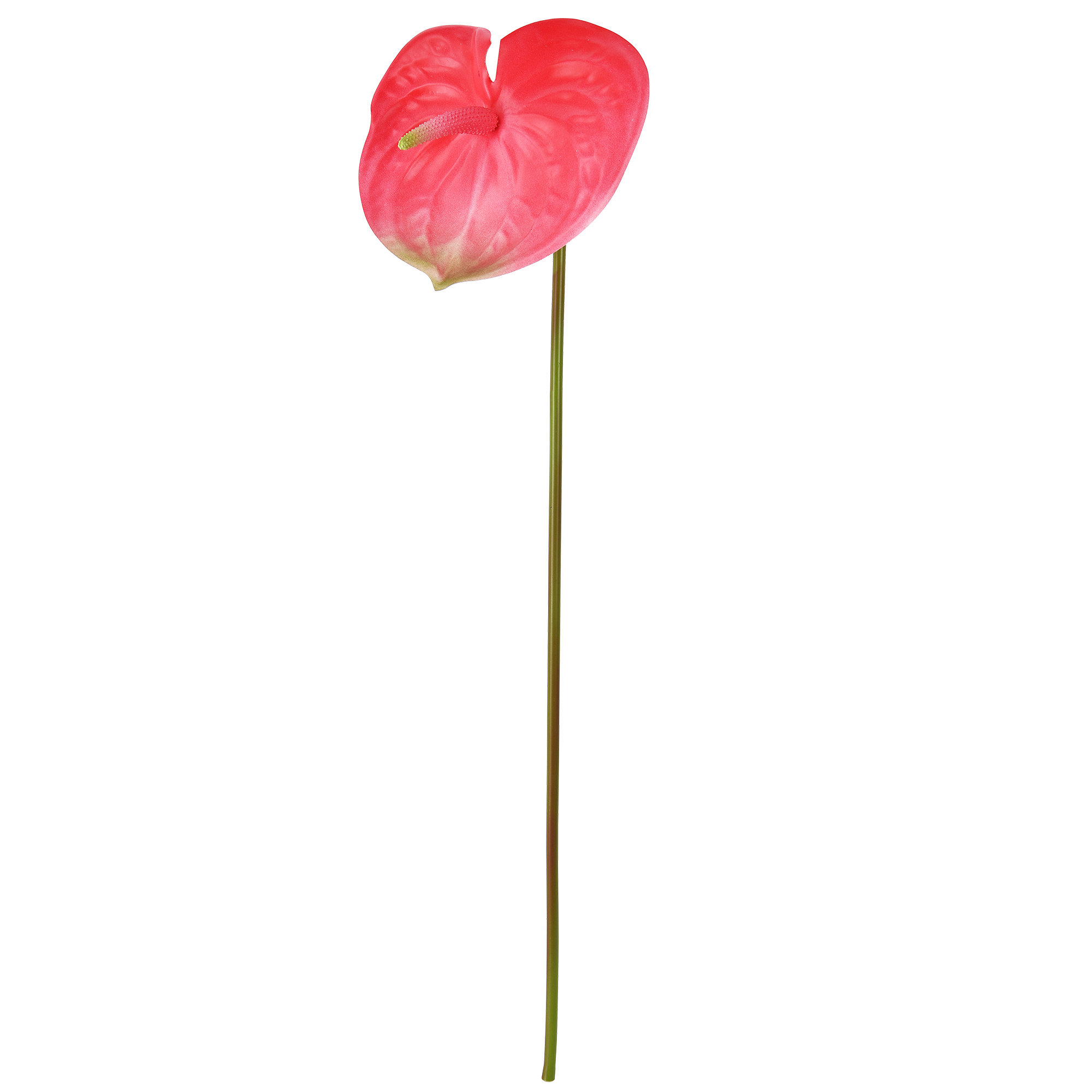 Artificial Anthurium