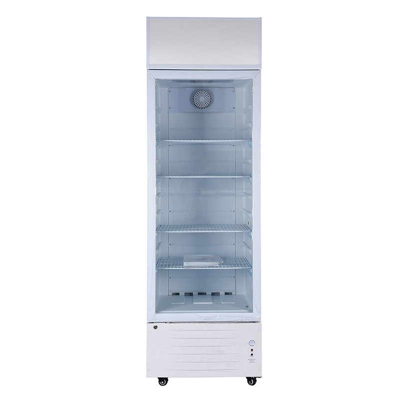 DC 12V/24V Solar Refrigerator Freezer, Energy Saving Cooling Display Fridge, OEM/ODM/SKD/CKD, PAYGO