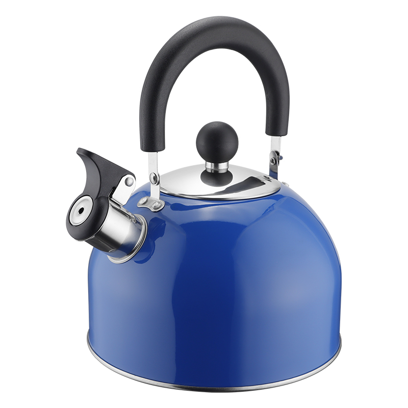 Realwin 2.5L stainless steel whistling kettle