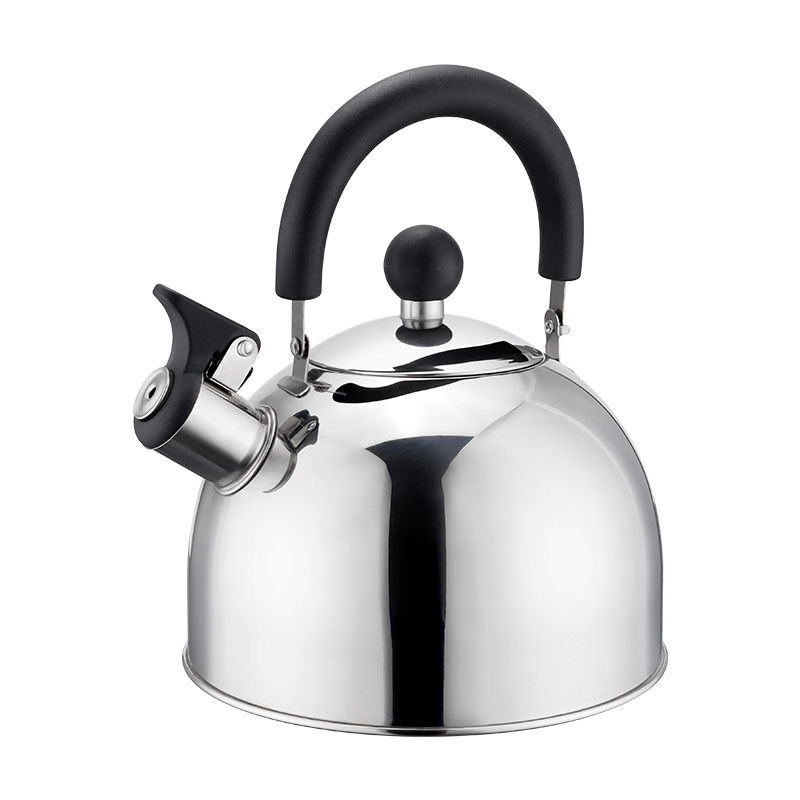 Realwin 2.5L stainless steel whistling kettle