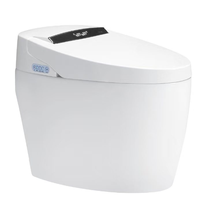Smart toilet