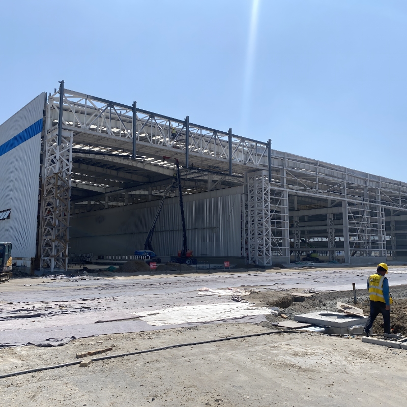 Steel Space Frame Factory Buildings: Modern Industrial Architectural Components
