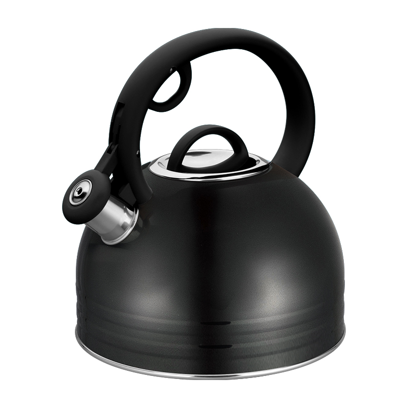 Realwin 2.5L stainless steel whistling kettle