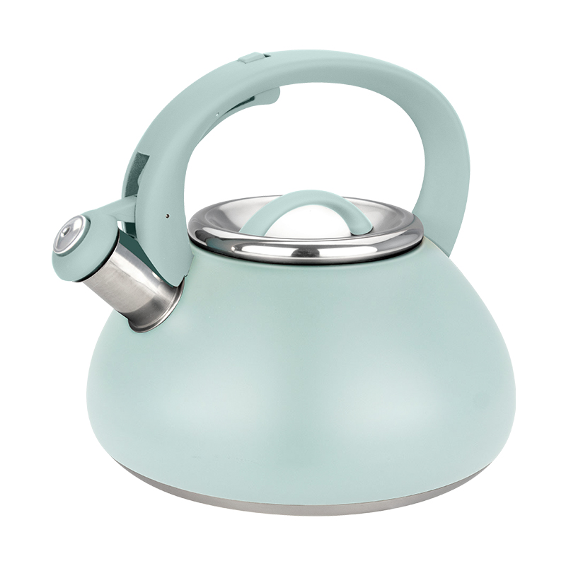 Realwin 3L stainless steel whistling kettle