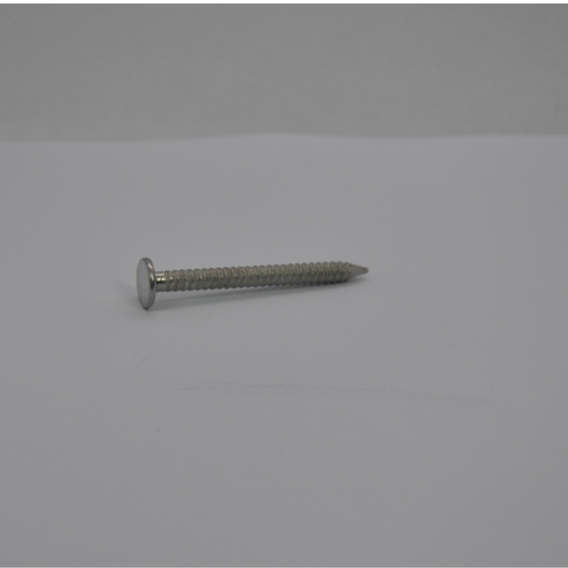 Ring Shank