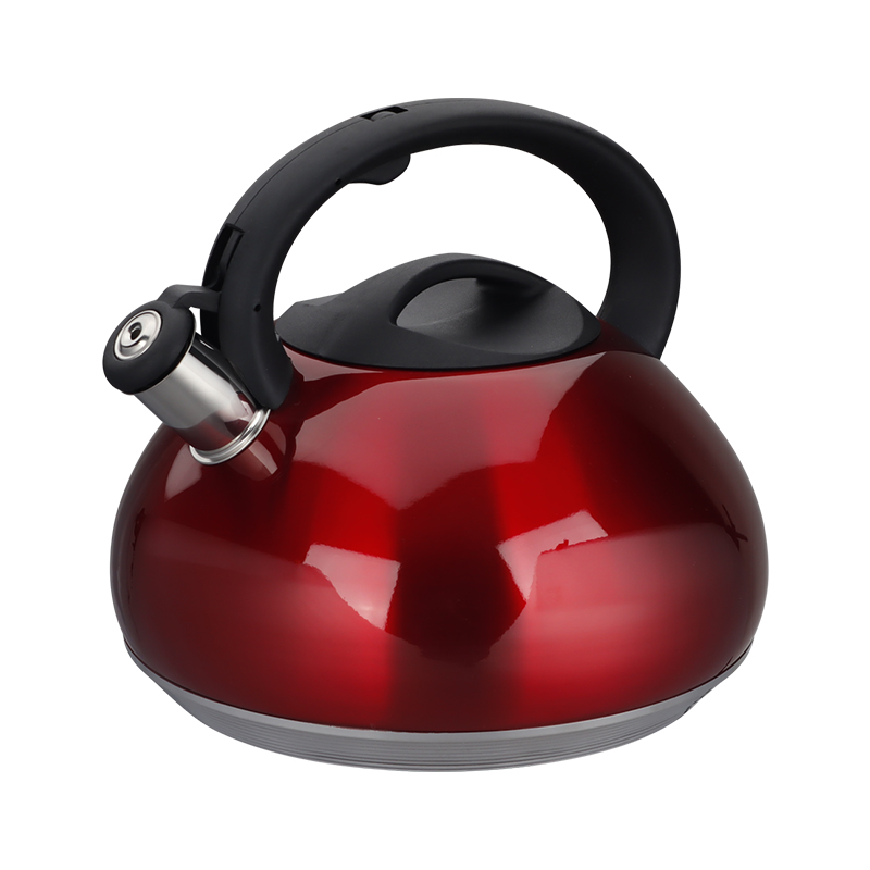 Realwin 4.5L stainless steel whistling kettle