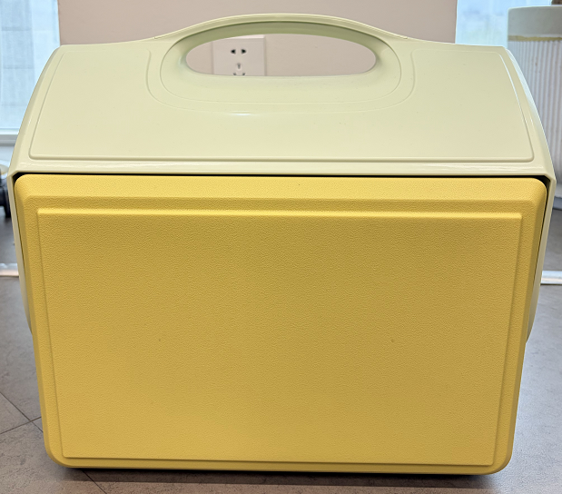 Factory Wholesale Picnic Camping Foam Insulated Plastic Set Ice Cooler Box 15L Cooler