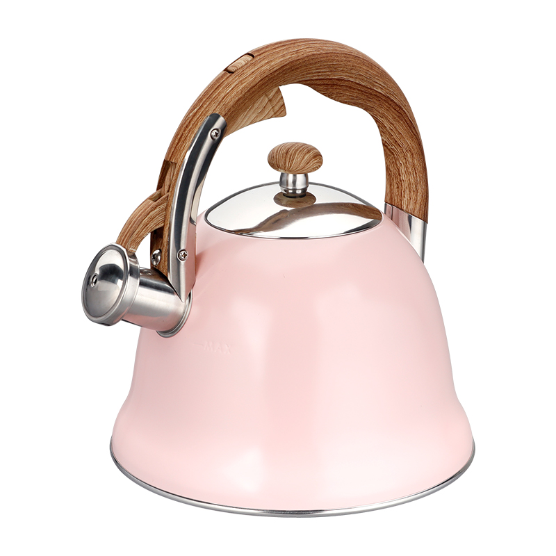 Realwin 2.8L stainless steel whistling kettle