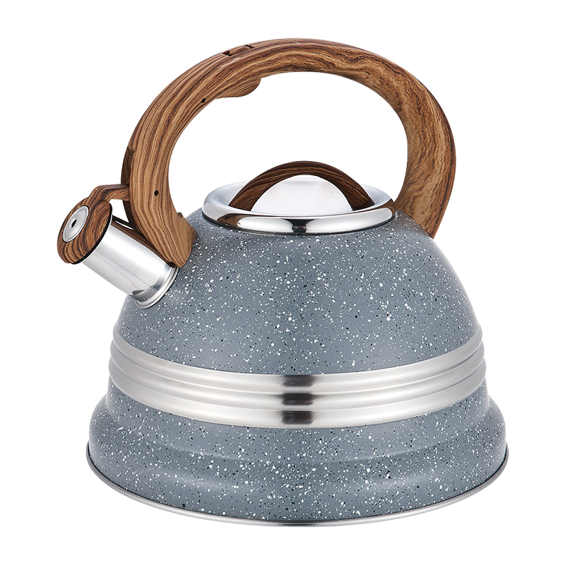 Realwin 3L stainless steel whistling kettle