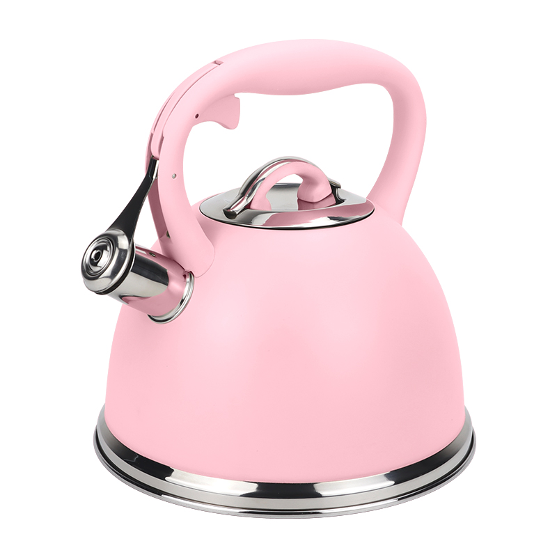 Realwin 3L stainless steel whistling kettle