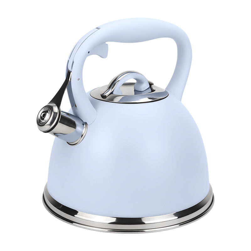 Realwin 3L stainless steel whistling kettle