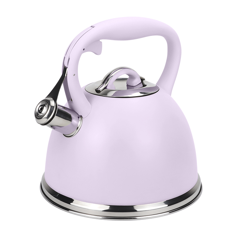 Realwin 3L stainless steel whistling kettle