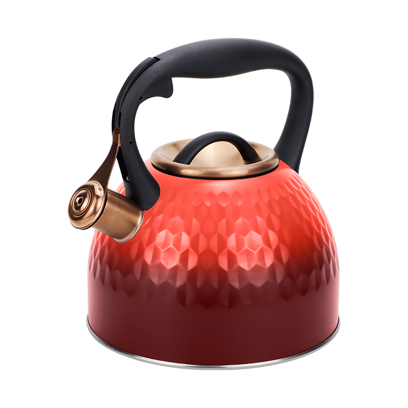 Realwin 2.5L stainless steel whistling kettle