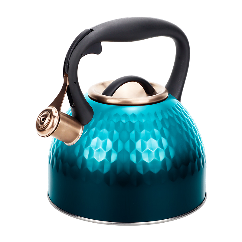 Realwin 2.5L stainless steel whistling kettle