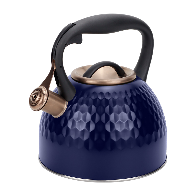 Realwin 2.5L stainless steel whistling kettle