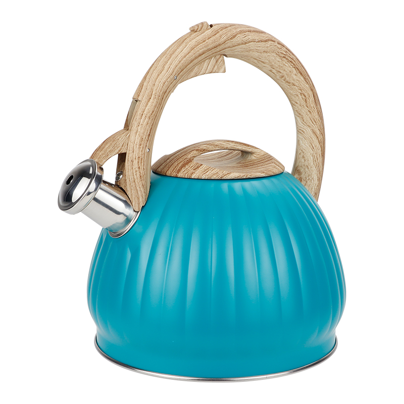 Realwin 3L stainless steel whistling kettle