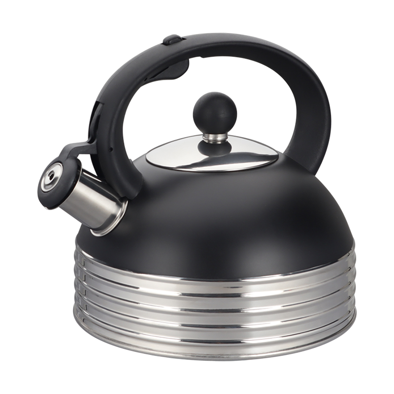 Realwin 2.5L stainless steel whistling kettle