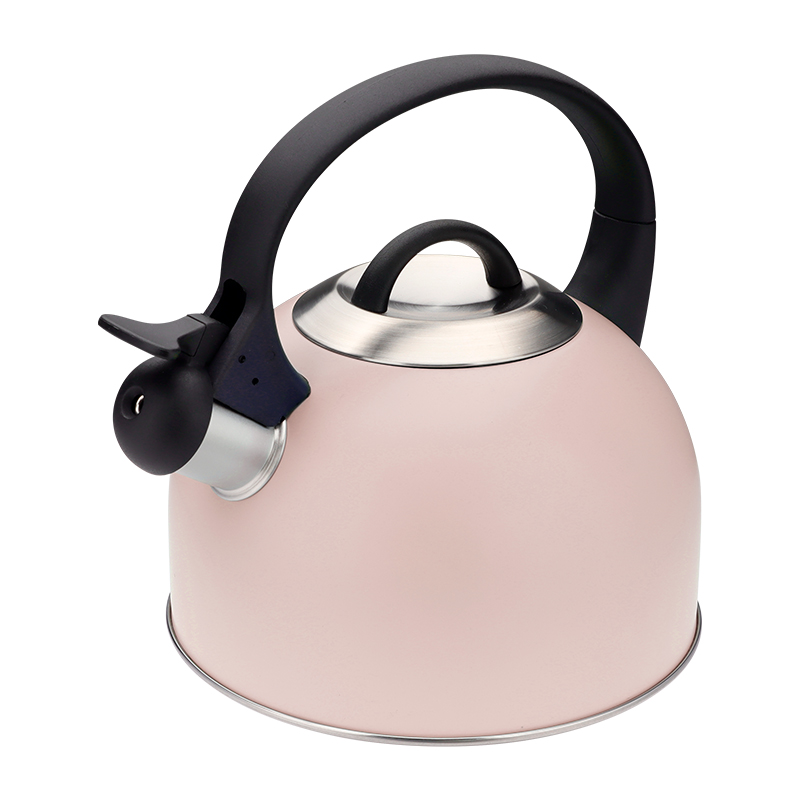 Realwin 2.5L stainless steel whistling kettle
