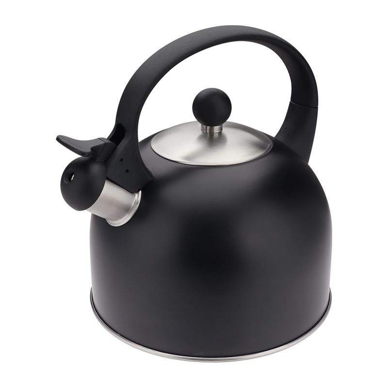 Realwin 2.5L stainless steel whistling kettle