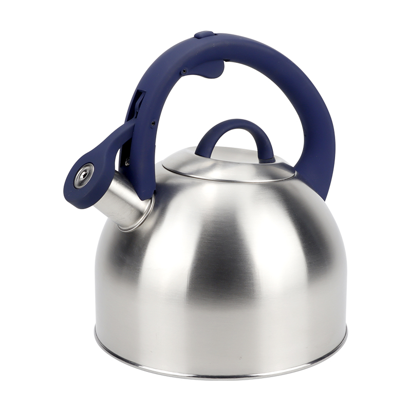Realwin 2.5L stainless steel whistling kettle