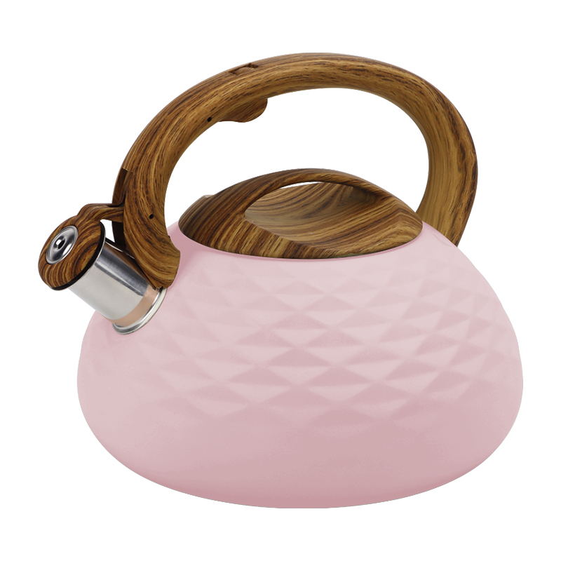 Realwin 3L stainless steel whistling kettle