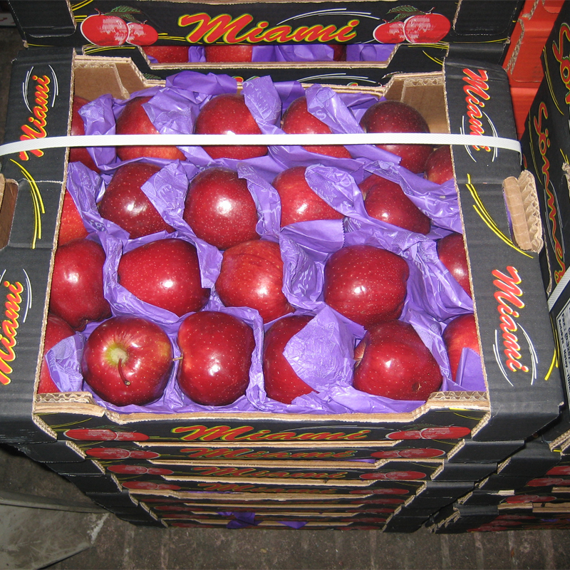 fruit wrapping paper