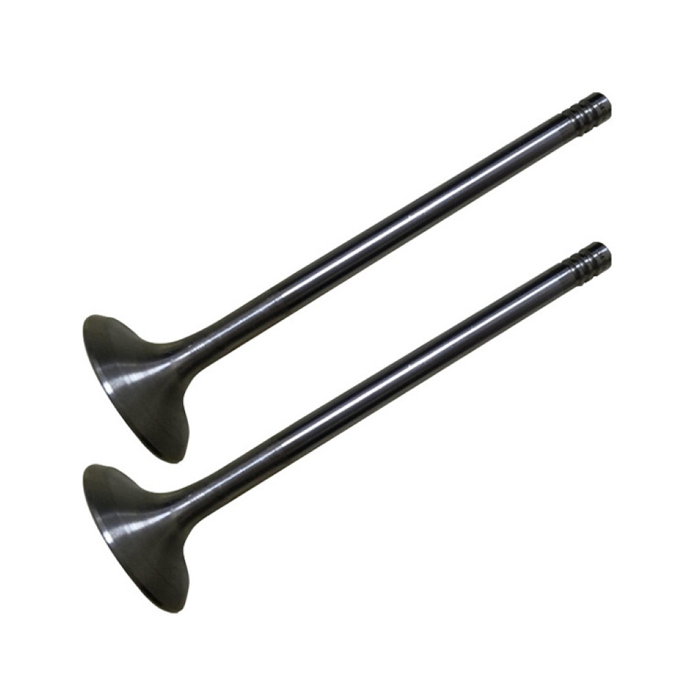 Premium Quality Engine Valve for lada 21177 Automobile