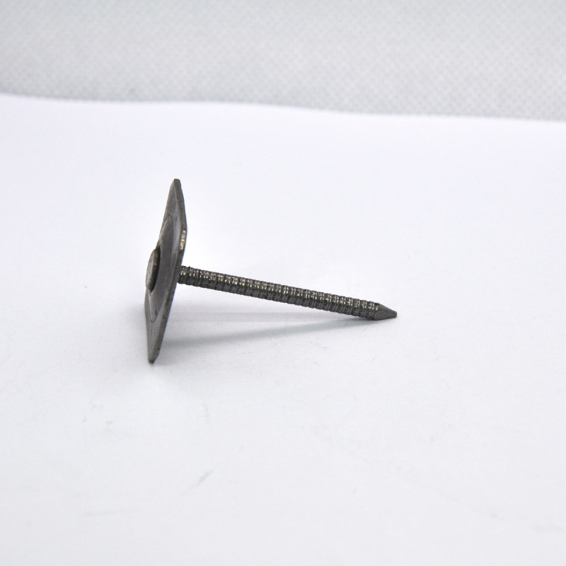 Ring Shank Nails With Square Washer