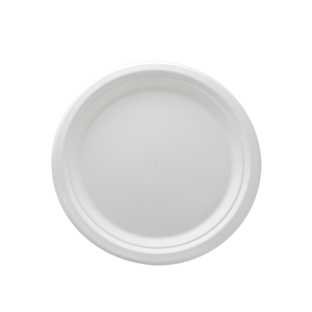 9-inch plate