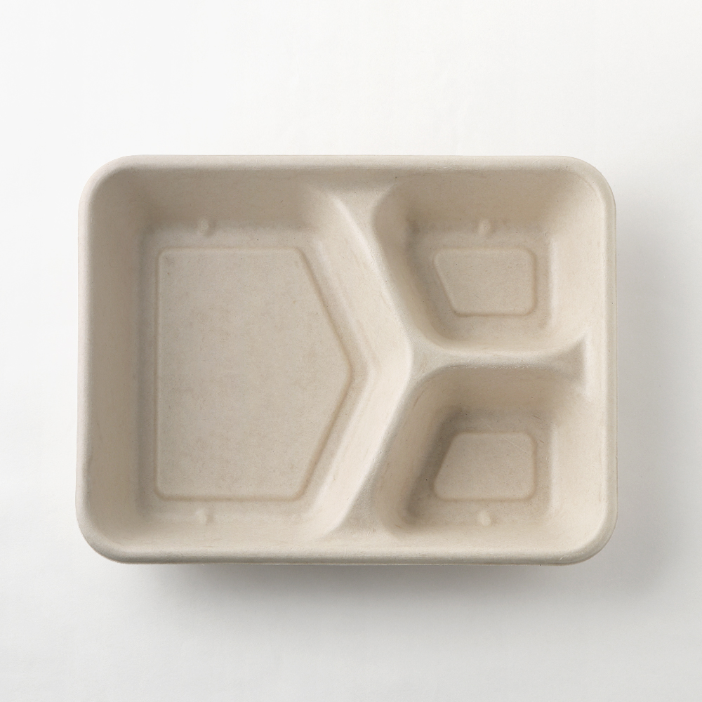 3-Compartment Container