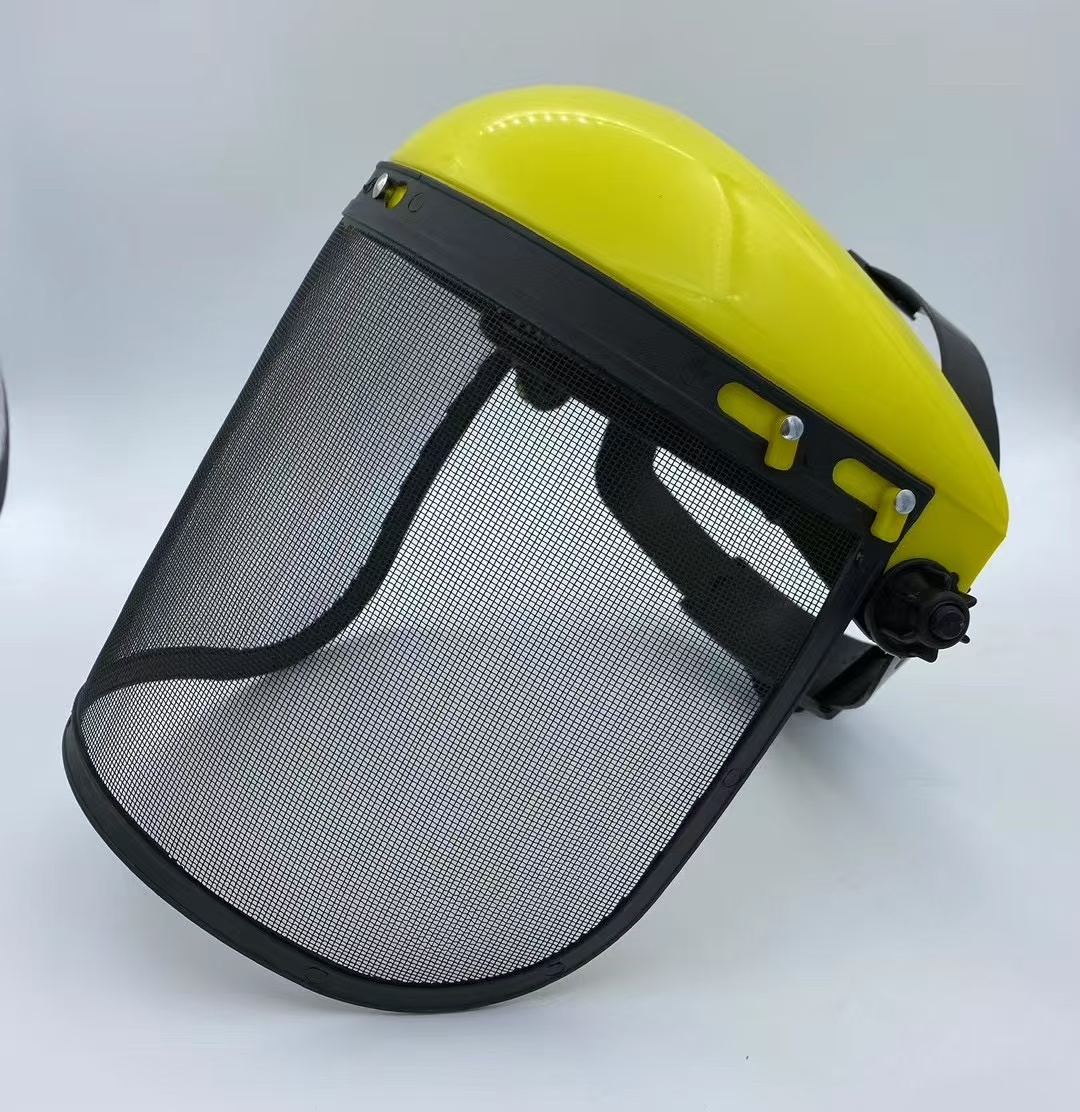 Protective mask