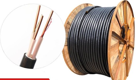XLPE Insulated PVC Sheathed Power Cable