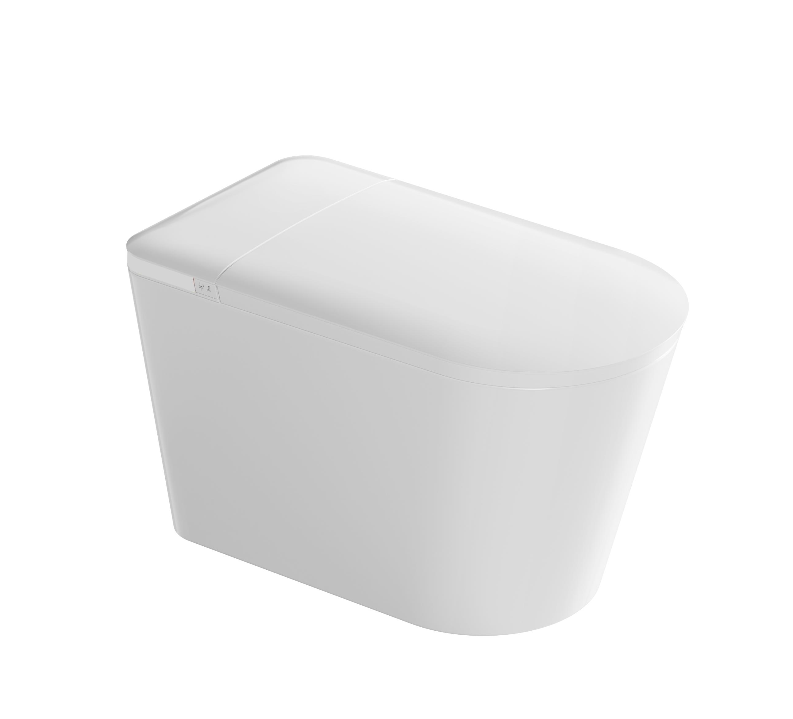 Romance non-electric intelligent/smart toilet