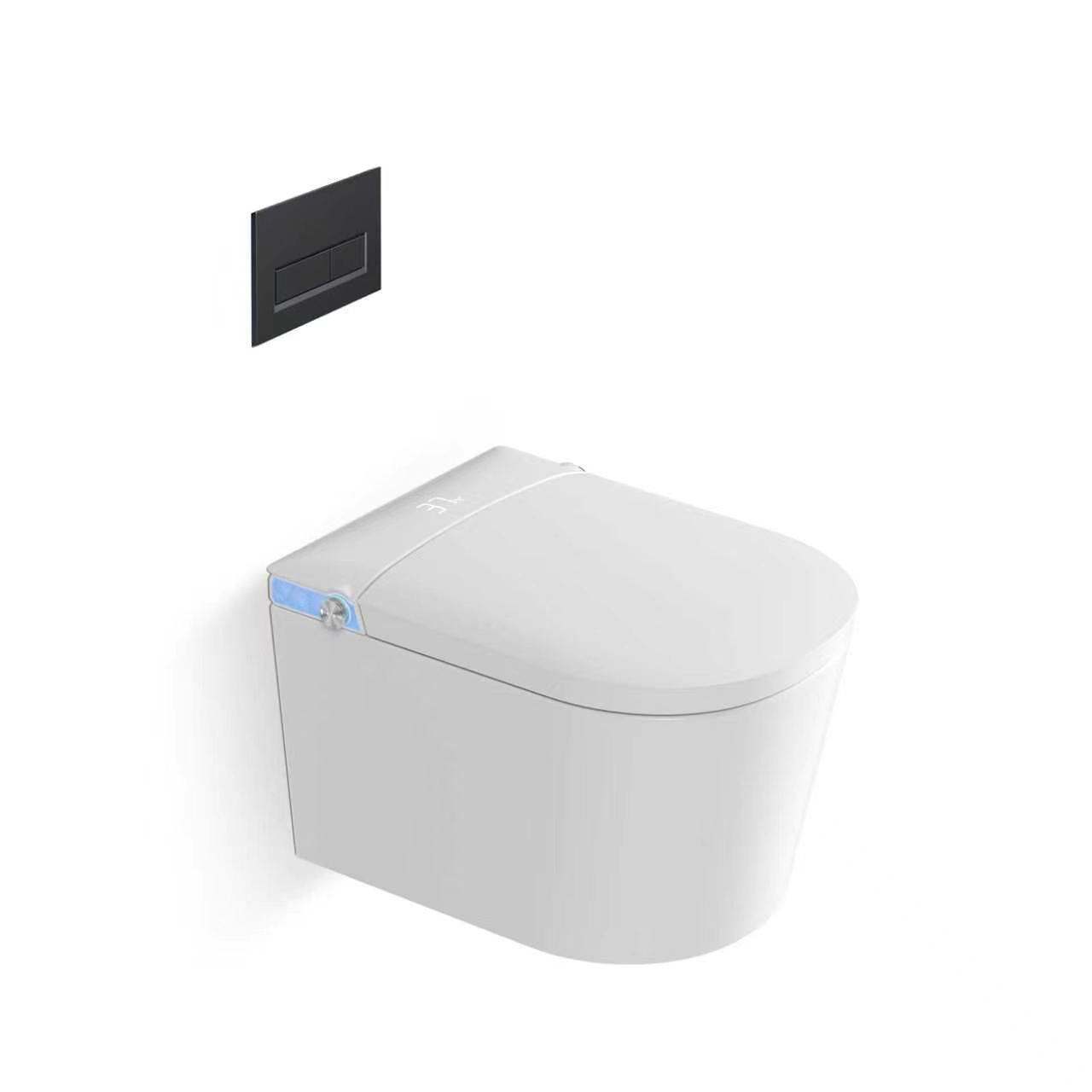 Romance plug-in intelligent/smart wall-hung toilet
