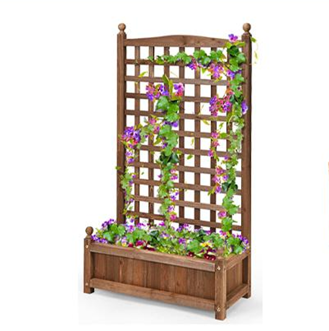 Garden Trellis Planter