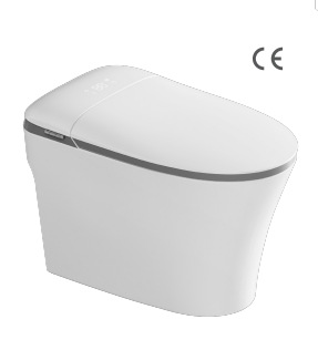 Romance plug-in intelligent/smart toilet