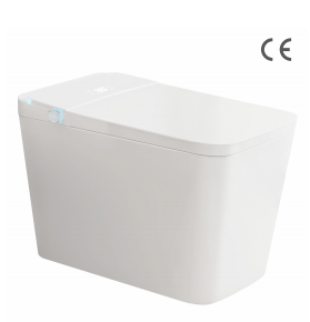 Romance plug-in intelligent/smart toilet