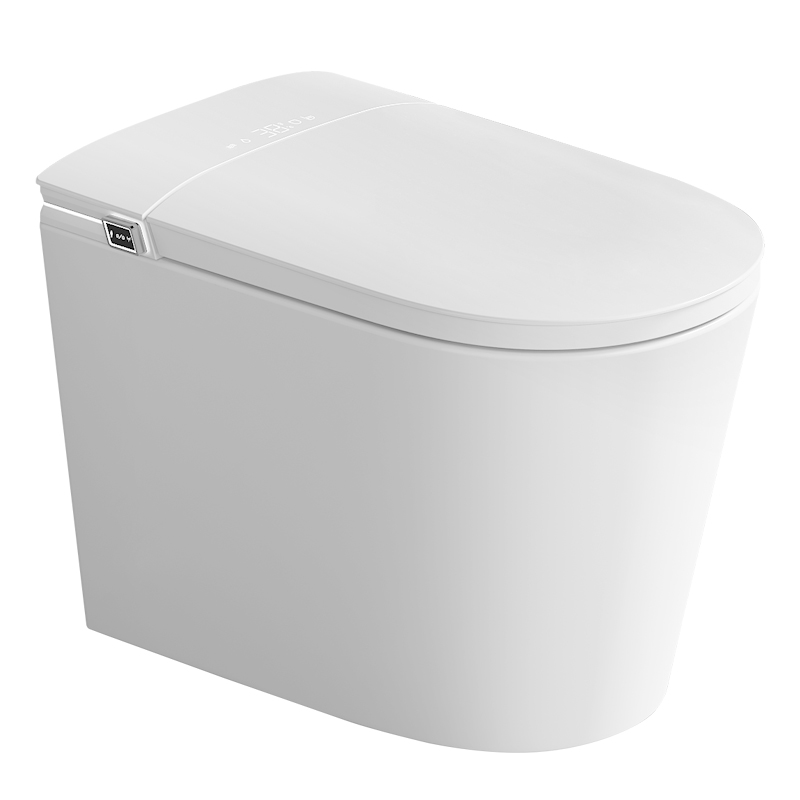 Romance plug-in intelligent/smart toilet floor-mounted
