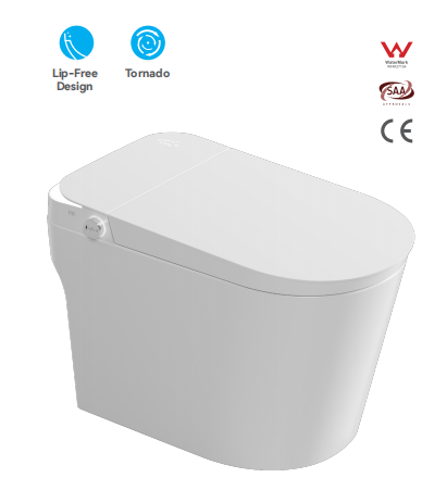 Romance plug-in intelligent/smart toilet