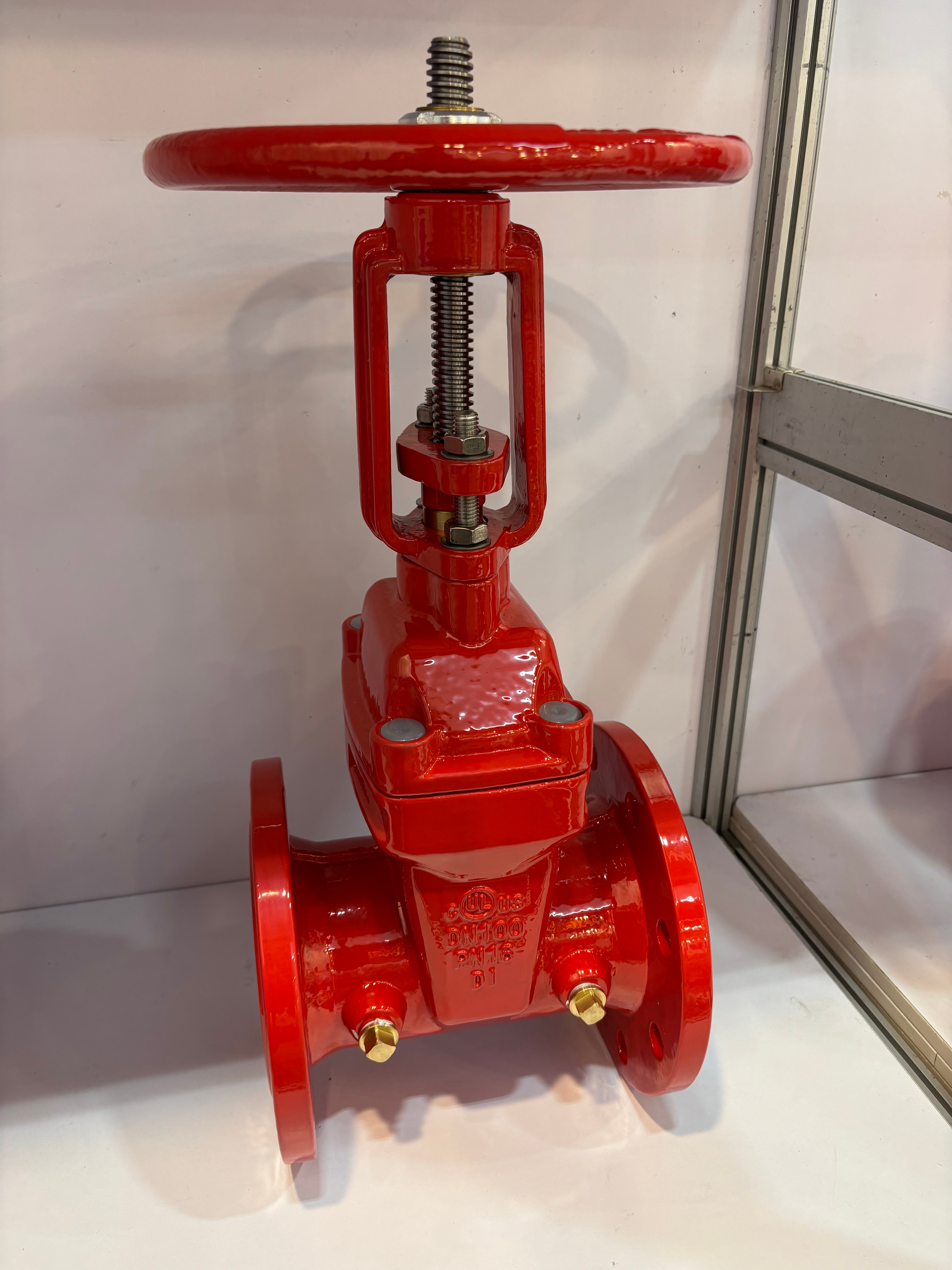 Rising stem gate valve