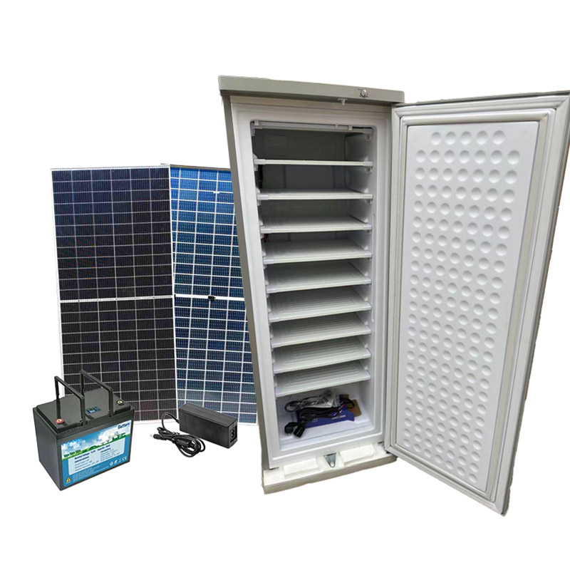 12V/24V Solar Freezer 198L, 7-11 Layers, DC/AC, Home Commercial, OEM/ODM/SKD/CKD Paygo