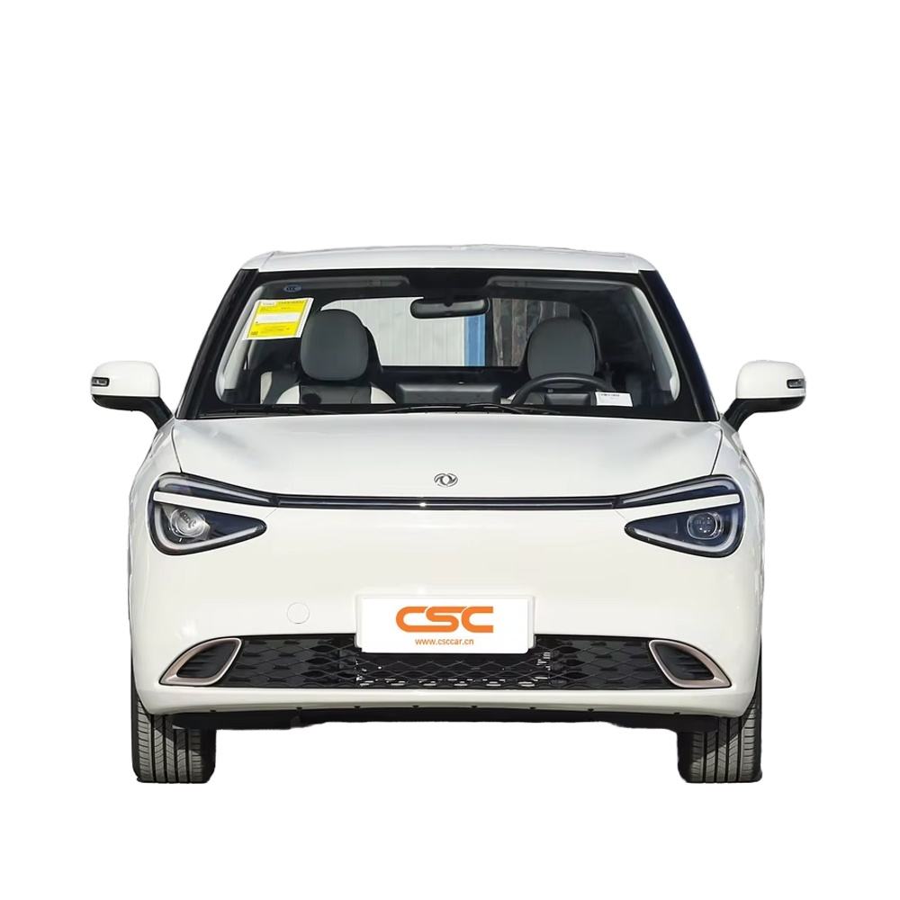 Dongfeng Nammi 01 330Air