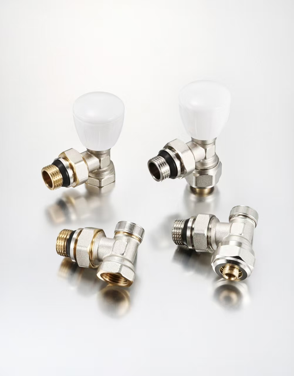 Globe Valve