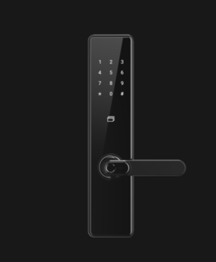 Fingerprint lock