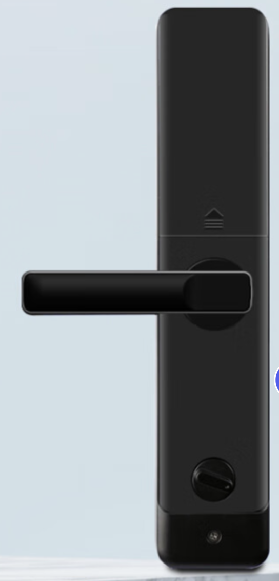 Fingerprint lock